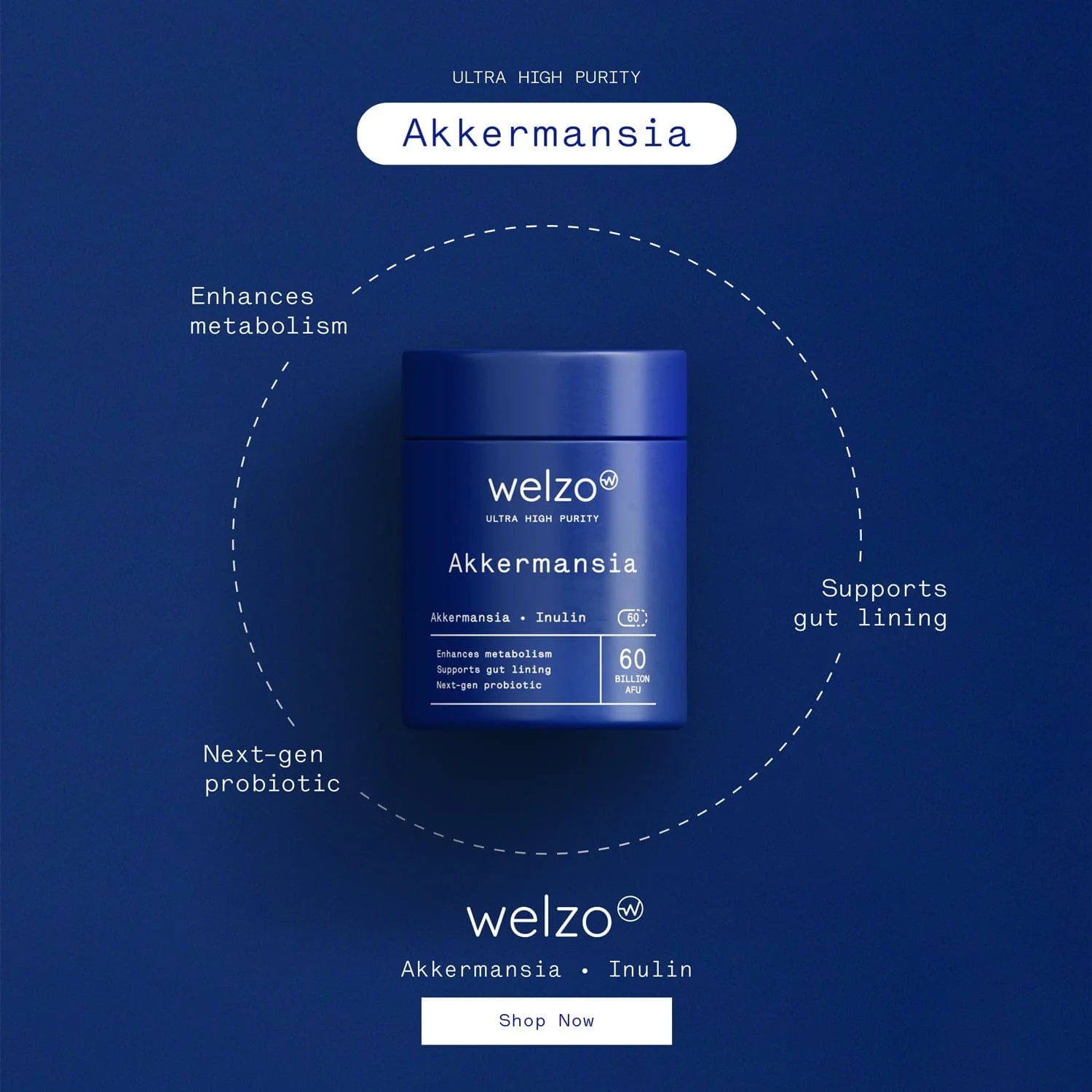 Akkermansia 60 Billion AFU Next-Generation Gut Microbiome Support