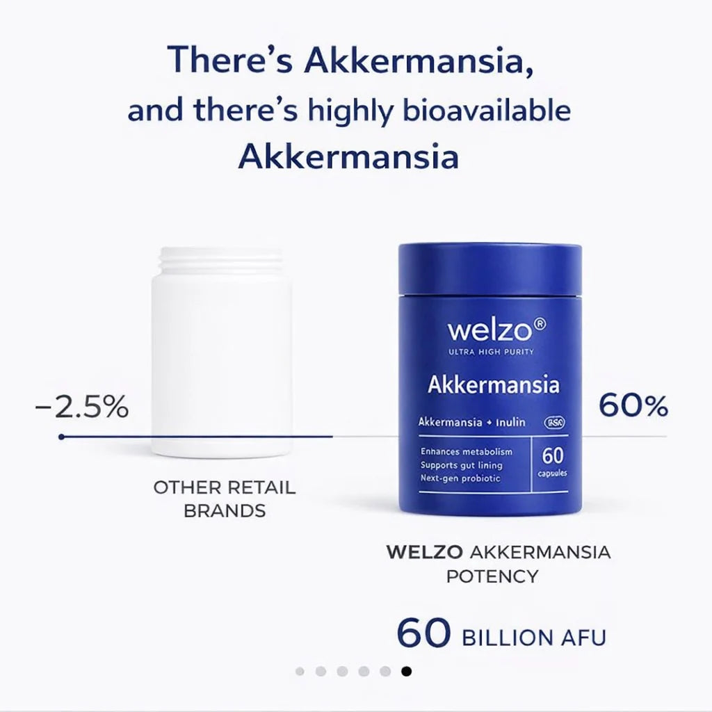 Akkermansia 60 Billion AFU Next-Generation Gut Microbiome Support