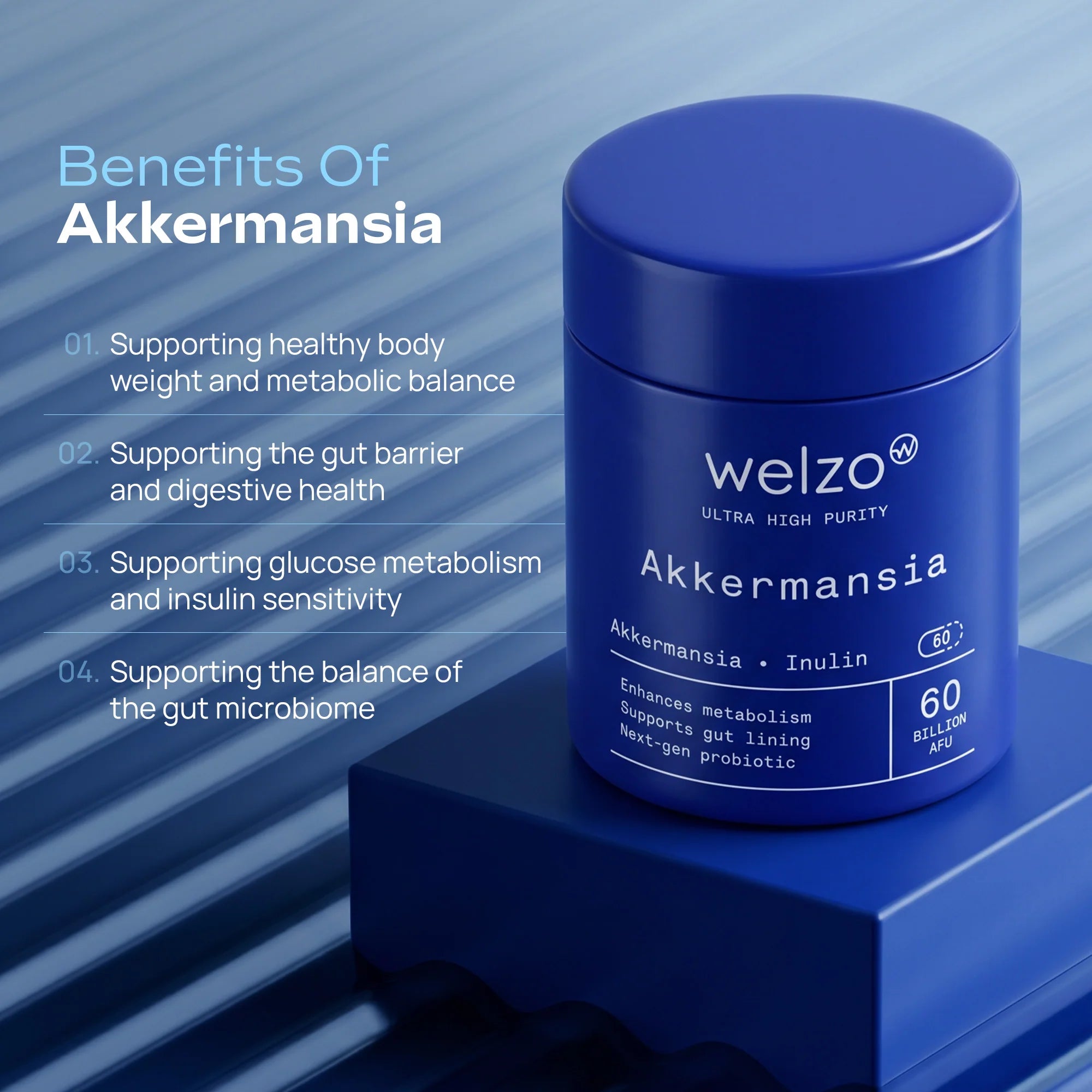 Akkermansia 60 Billion AFU Next-Generation Gut Microbiome Support